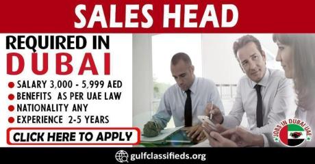 SALES HEAD REQUIRED IN DUBAI