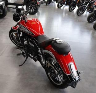 SHARMAX RR 250 LITE (cruiser bike, road bike , كروزر بايك، دراجة الطريق) |1905