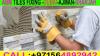 Home Maintenance Service ajman Dubai Sharjah