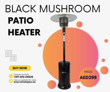 Climate plus gas and electric patio heater on sale