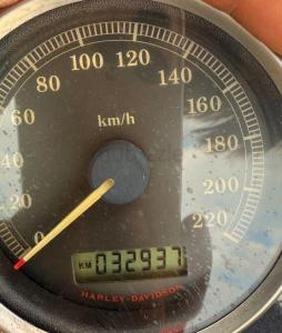 Harley Davidson 883 For sale