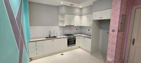 AED 1000 PARTITION DIP