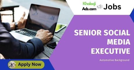 Senior Social Media Executive - Automotive Background