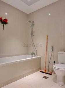 PARTITIONS AVAILABLE FOR PROFESSIONALS IN DIP-1