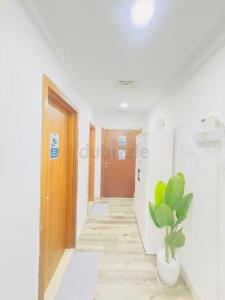 LADIES EXECUTIVE PREMIUM BEDSPACE | MASHREQ METRO | ALL INCLUSIVE RENT WITH HOUSE KEEPING | NEW