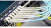 IT Network Cabling Services in Dubai - Techno Edge Systems