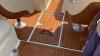 Sea Ray 260 sundeck with new Engine