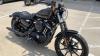 2019 Harley-Davidson XL 883N Sporter iron 883