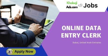 Online Data Entry Clerk - Work From Home