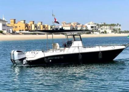 Price reduced ! JINGSUI 30 (2023 Low hours)