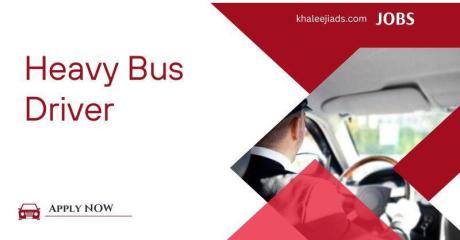 Heavy Bus Driver