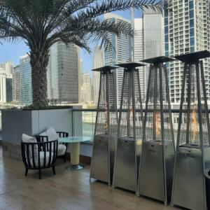 Stainless steel mushroom heater