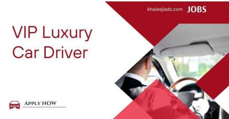 VIP Luxury Car Driver