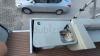 22ft Pontoon Boat in Abu Dhabi Blue Colour