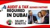 AUDIT & TAX BUSINESS PARTNER REQUIRED IN DUBAI