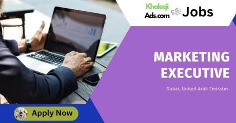 Marketing Executive