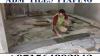 Home Maintenance Service ajman Dubai Sharjah